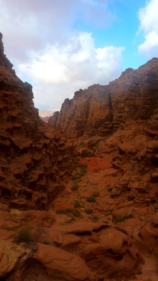 Jour 10 - Wadi Rum (10)
