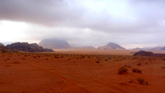 Jour 10 - Wadi Rum (6)