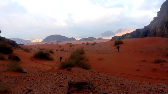 Jour 10 - Wadi Rum (9)