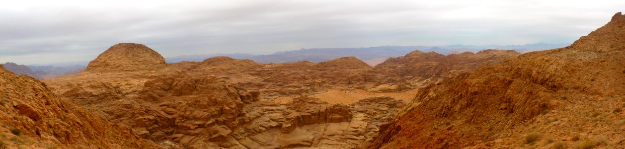 Jour 09 - Wadi Rum (17)