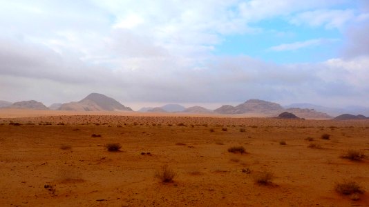 Jour 10 - Wadi Rum (1)