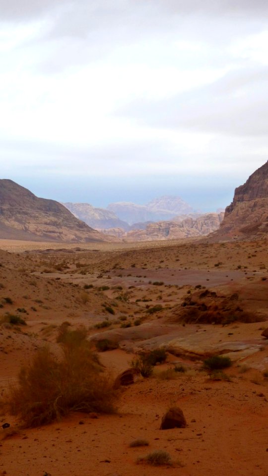 Jour 09 - Wadi Rum (16)