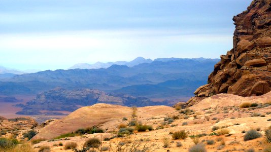 Jour 09 - Wadi Rum (14)