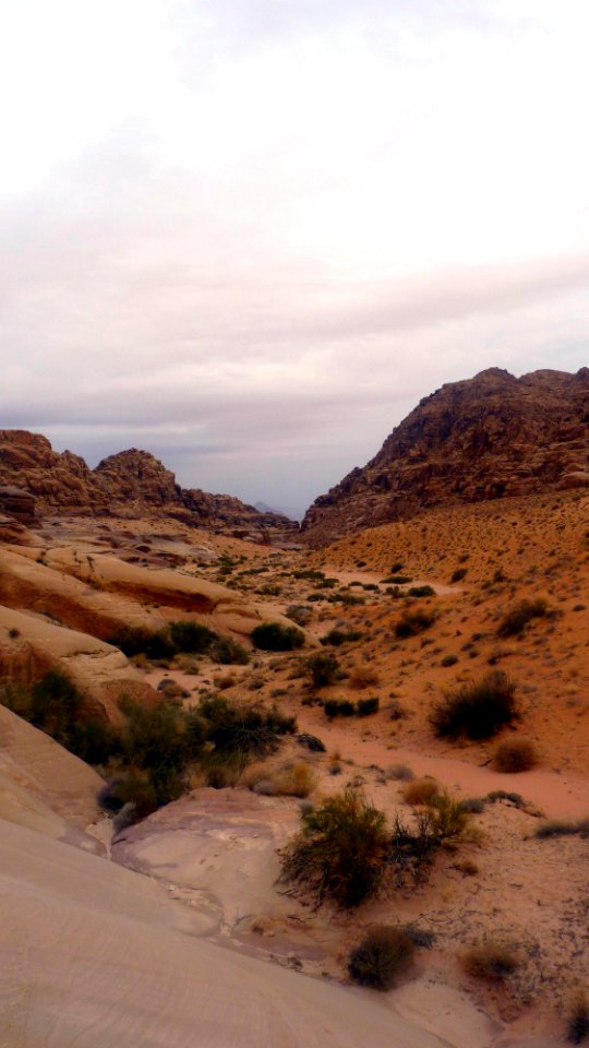 Jour 09 - Wadi Rum (11)