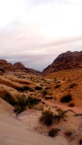 Jour 09 - Wadi Rum (11)