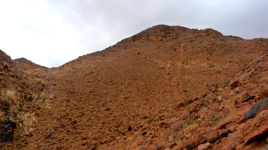 Jour 09 - Wadi Rum (13)