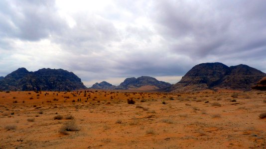 Jour 09 - Wadi Rum (2)