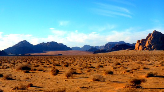 Jour 08 - Wadi Rum (57)