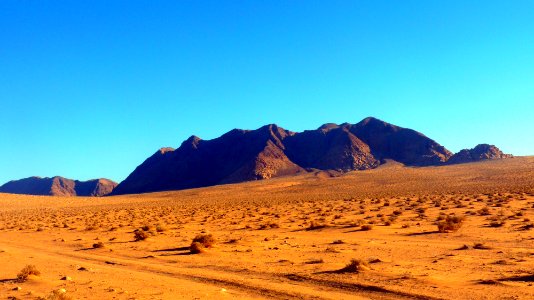 Jour 08 - Wadi Rum (56)