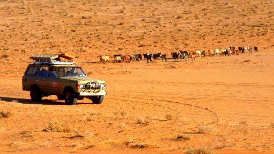 Jour 08 - Wadi Rum (51)