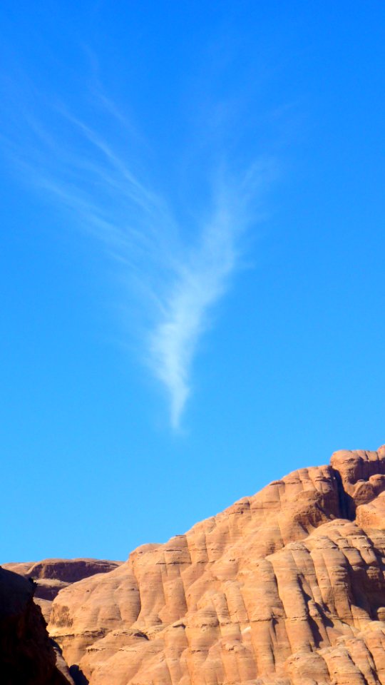 Jour 08 - Wadi Rum (41)