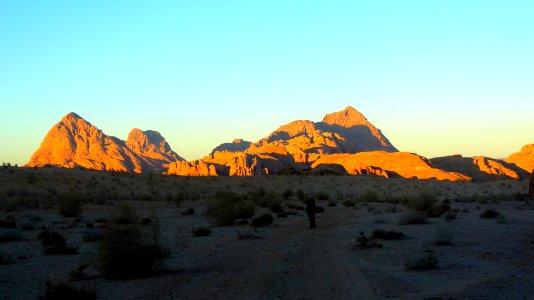 Jour 07 - Wadi Rum (52)