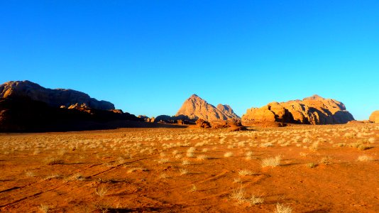 Jour 07 - Wadi Rum (48)