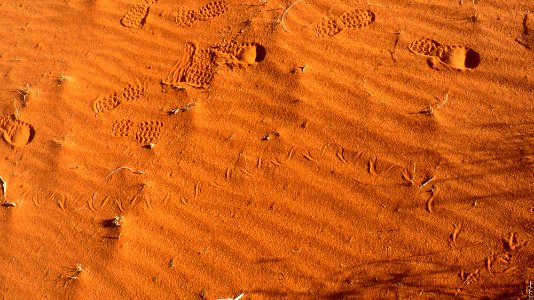 Jour 07 - Wadi Rum (39)