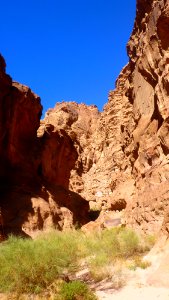 Jour 07 - Wadi Rum (19)