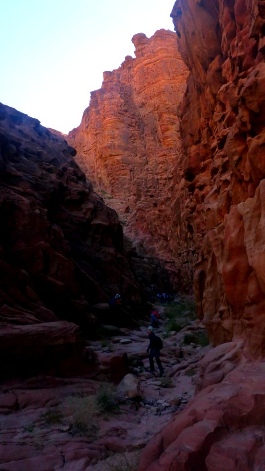 Jour 07 - Wadi Rum (14)