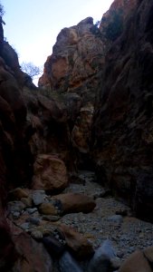 Jour 06 - Petra (73)