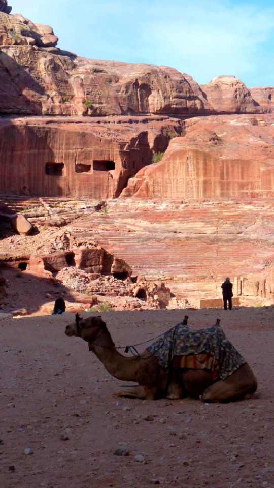 Jour 06 - Petra (25)