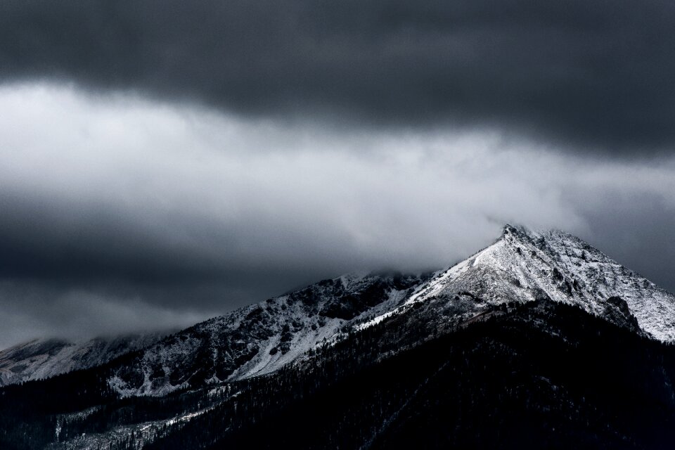 Fog snow winter