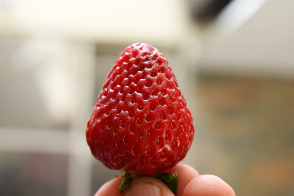 Fruit bless you delicious