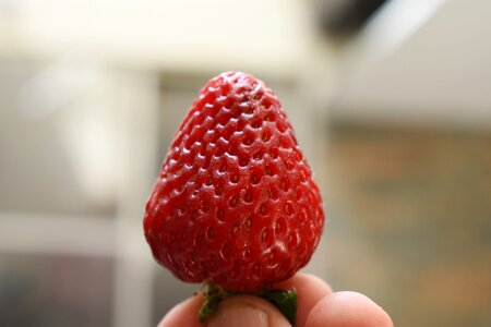 Fruit bless you delicious
