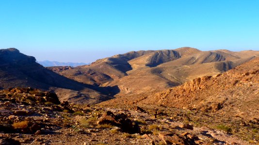 Jour 05 - Petra (14)