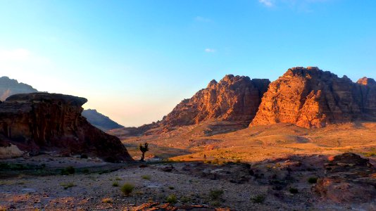 Jour 04 - Petra (70)