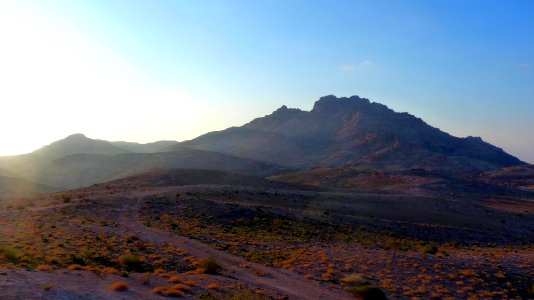 Jour 04 - Petra (71)