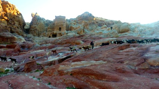 Jour 04 - Petra (57)