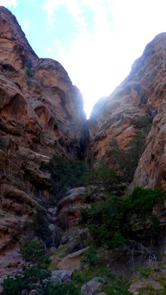 Jour 04 - Petra (17)