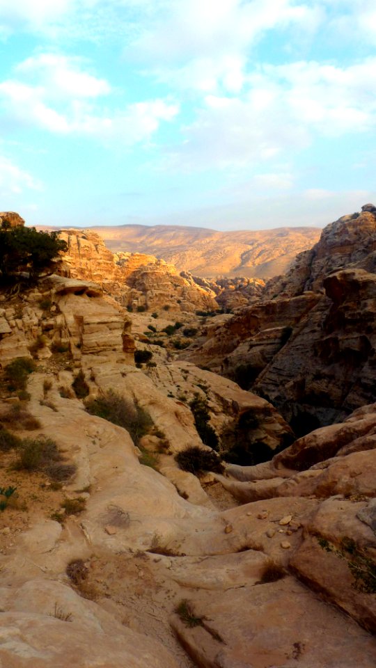 Jour 03 - Little Petra (20)