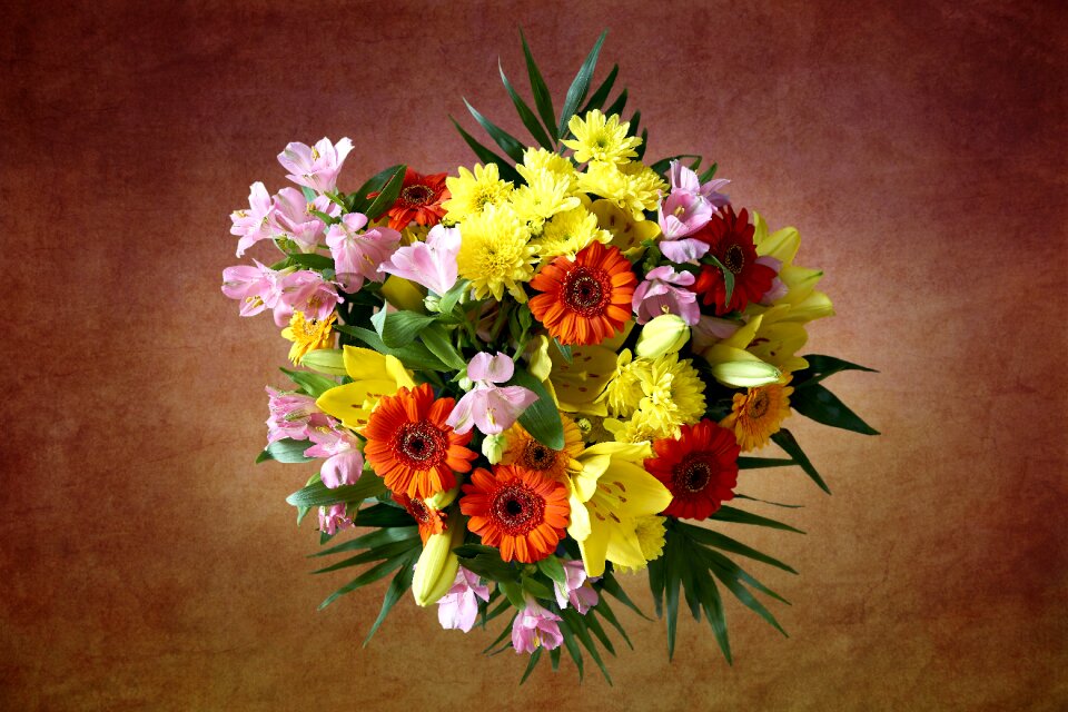 Surprise color beautiful