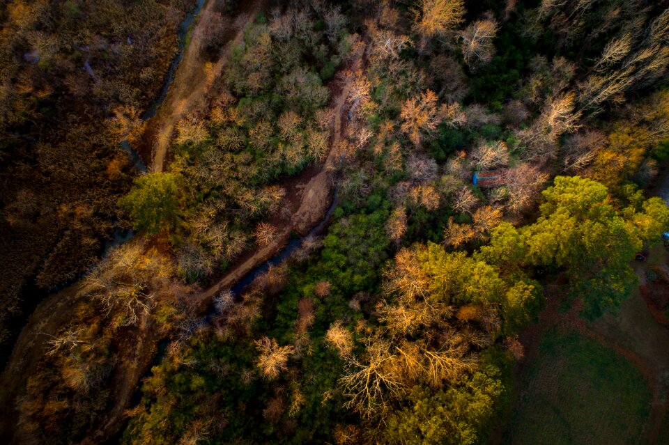 Plan nature forest