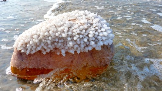 Jour 01 - mer Morte (8)