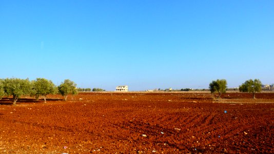 Jour 01 - Madaba (10)