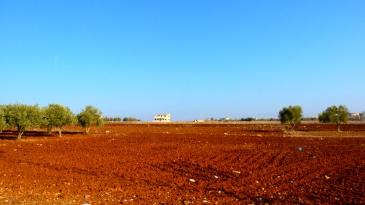 Jour 01 - Madaba (10) photo