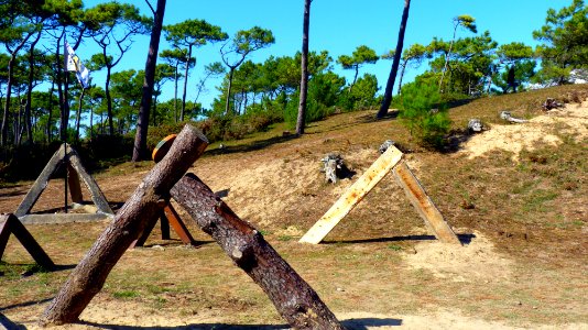 Batterie du Bego (18)