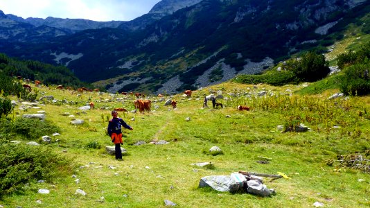 Jour 09 - Lacs du Pirine (26)
