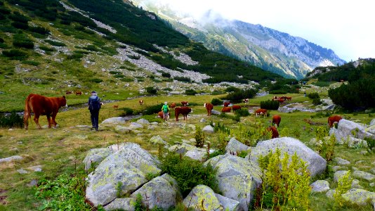 Jour 09 - Lacs du Pirine (25)