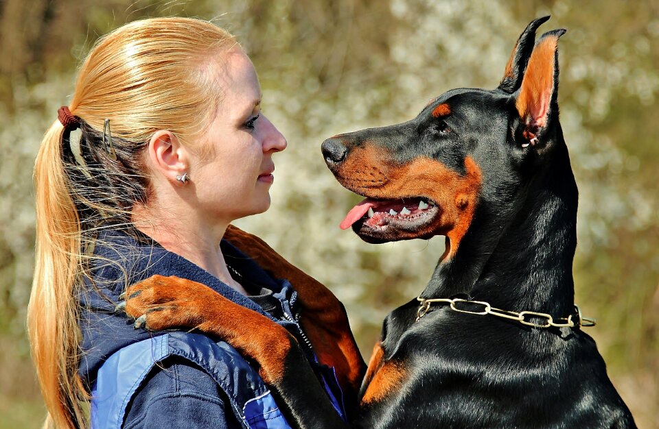 Love woman with a dog friendship