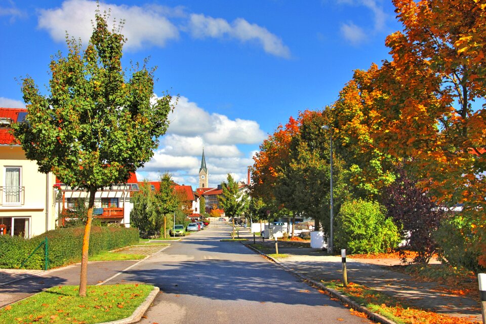 Road park sky
