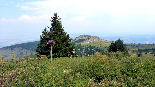 Jour 02 Massif Vitocha, ascension Tcherni Vrach (60)