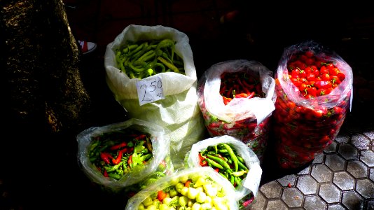 Jour 03 - Samokov (19)