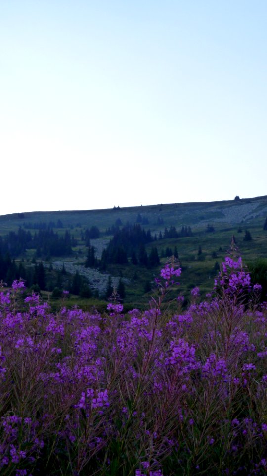 Jour 02 Massif Vitocha, ascension Tcherni Vrach (9)