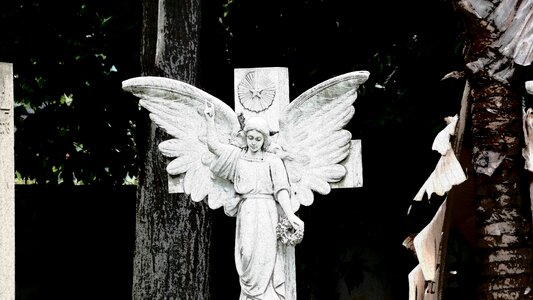 Cemetery black and white black angel photo
