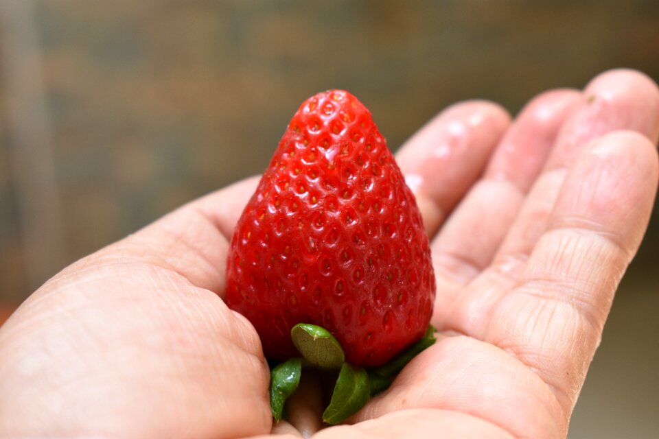 Fruit food nature