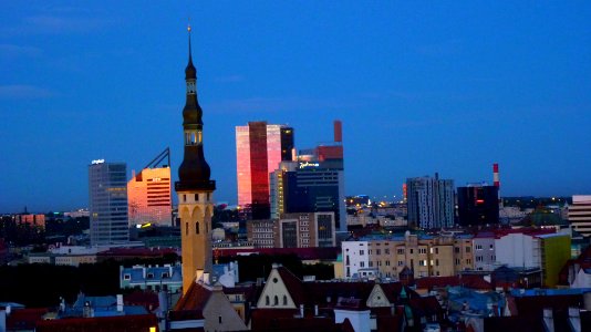 Tallin (43)