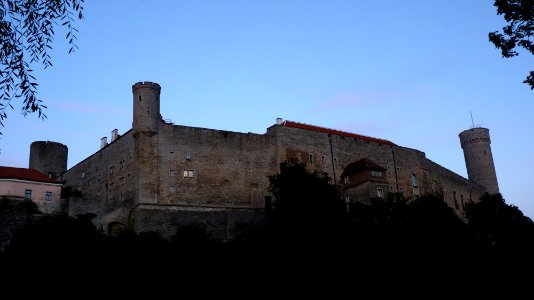 Tallin (37)