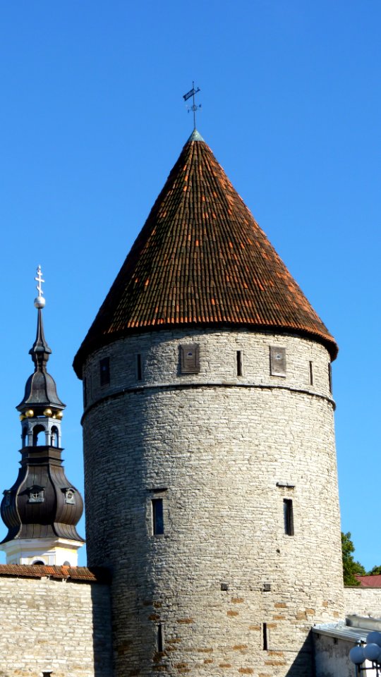 Tallin (34)