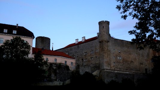 Tallin (36)
